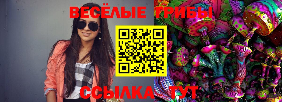 Псилоцибиновые грибы прущие грибы Ессентуки