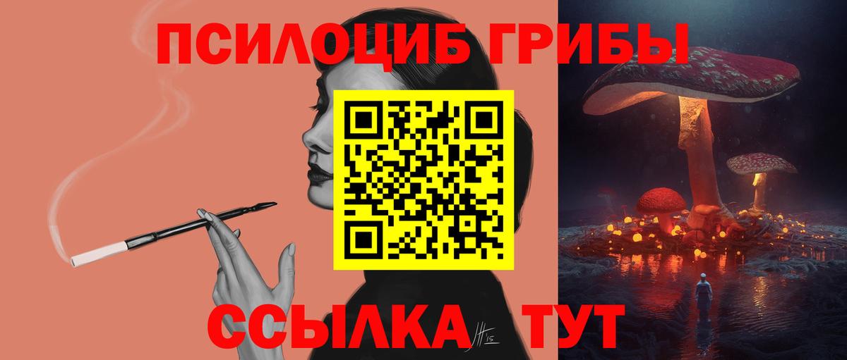 Ессентуки  Галлюциногенные грибы Psilocybine cubensis  Галлюциногенные грибы прущие грибы  Вход с VPN 