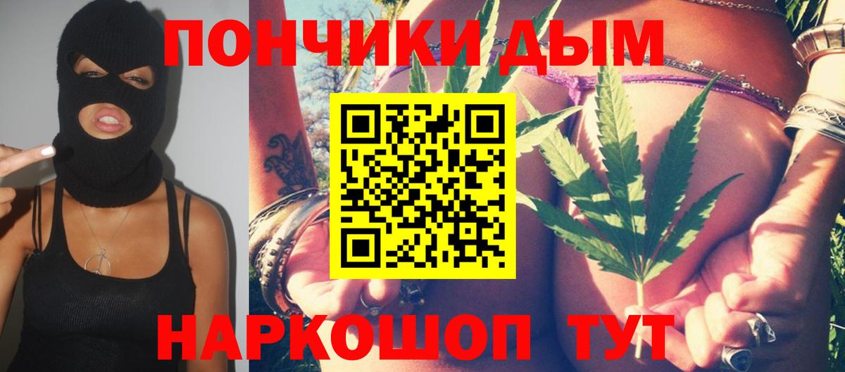 Канабис конопля Ессентуки